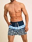 Мужские шорты для плавания «Summer» Синие / Emotion day